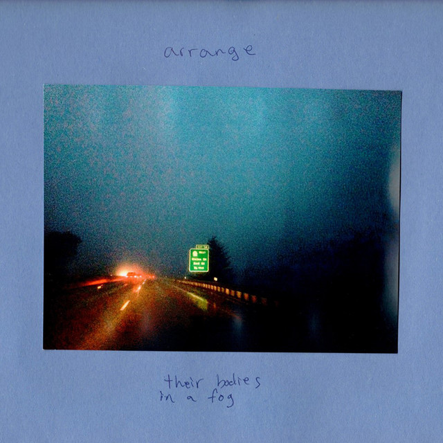 Their Bodies in a Fog cover art