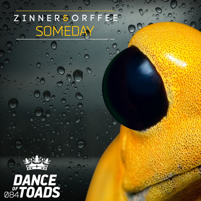 Someday cover art
