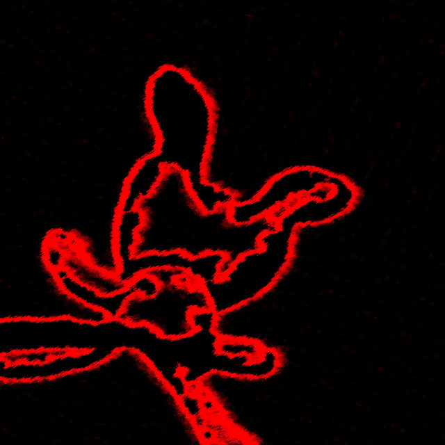 Ab67616d0000b2732e499d3365760aefec802158