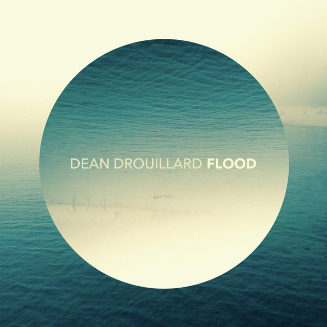 Flood cover art