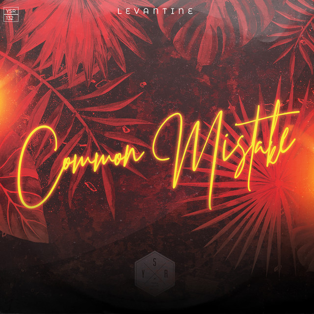 Common Mistake album art