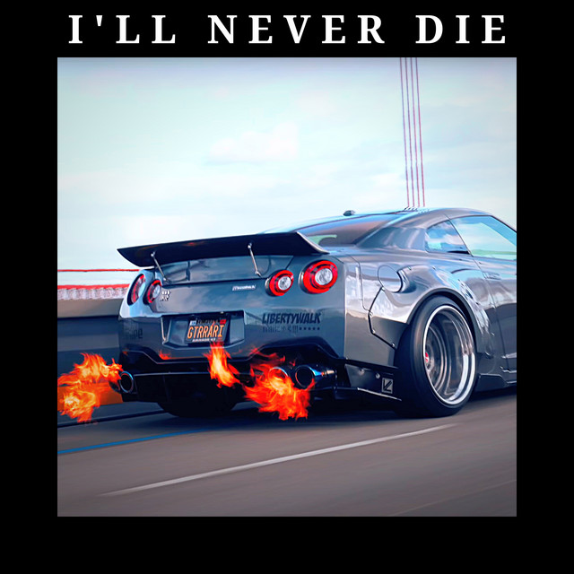 Обкладинка: I'LL NEVER DIE — 2KE