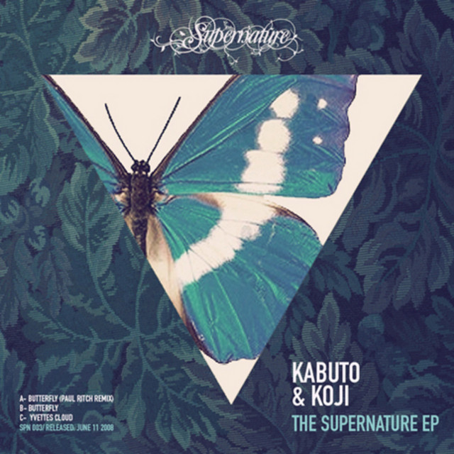 Butterfly - Paul Ritch Remix cover art