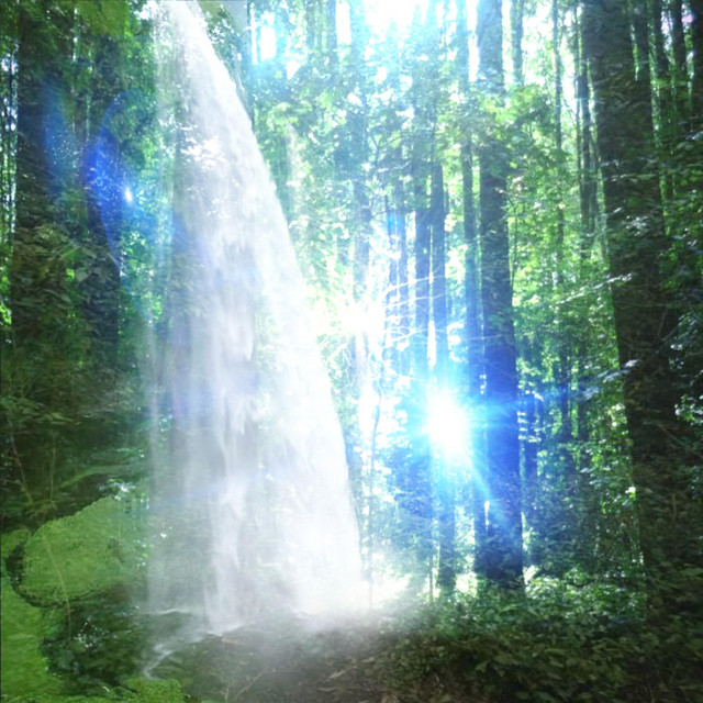 www.forest-theme-archive.com cover art