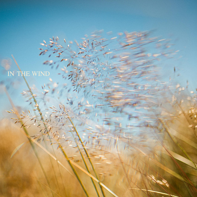 In The Wind artwork