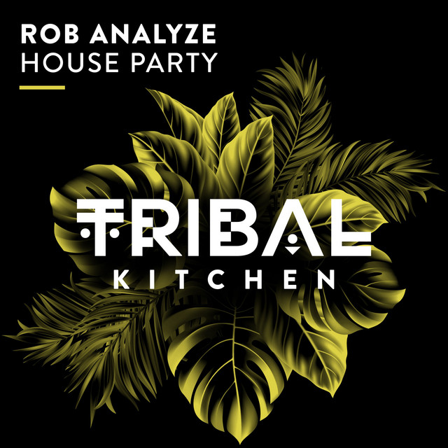 House Party - Extended Mix album art