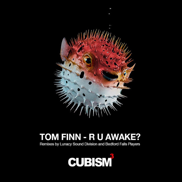 R U Awake? - Lunacy Sound Division Remix cover art