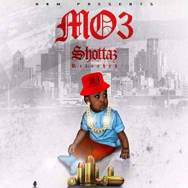 Shottaz Reloaded cover art