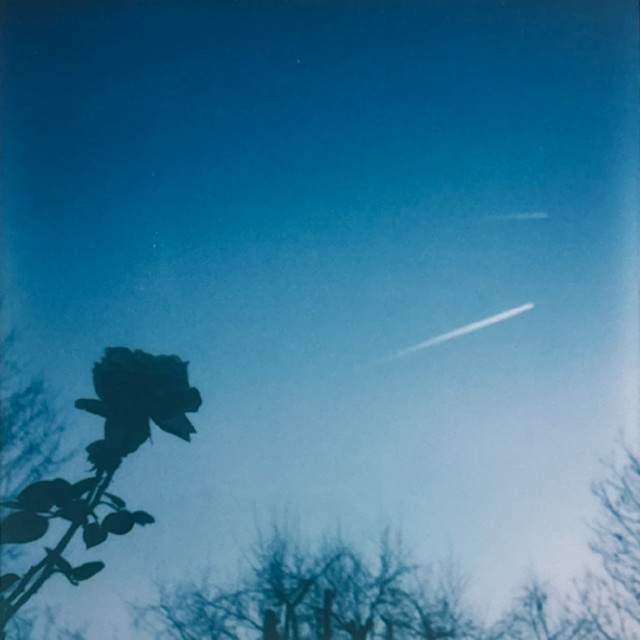 Back 2 You album image