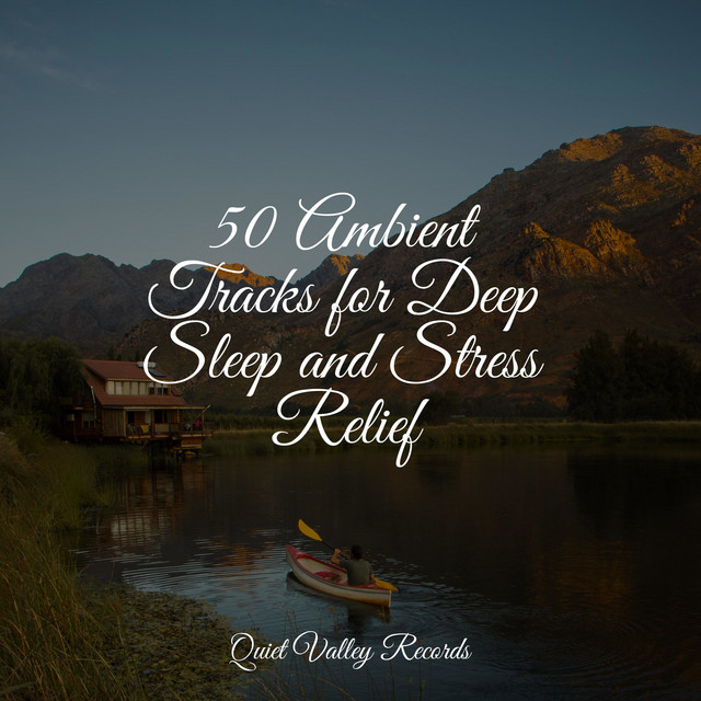 50 Ambient Tracks for Deep Sleep and Stress Relief - Album by ...