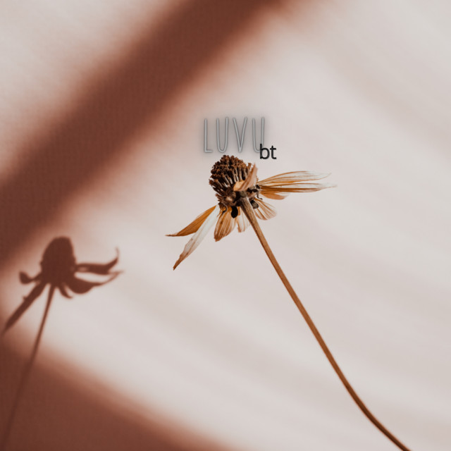 Luvu cover art