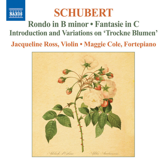 Schubert: Complete Works for Violin and Fortepiano, Vol. 2 cover art