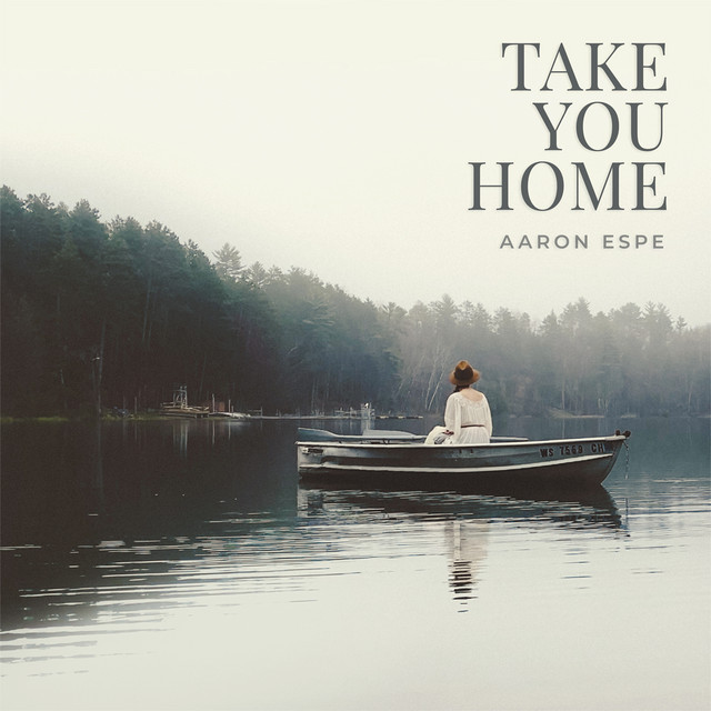 Take You Home cover