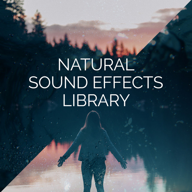 Natural Sound Effects Library ! ! ! ! - Album by Pro Sound Effects ...