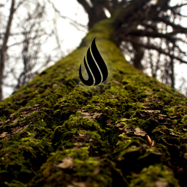 Precipitation by Epiphonema