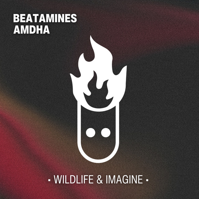 Wildlife & Imagine cover