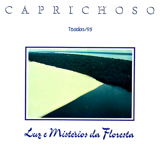 Luz e Mistérios da Floresta cover art