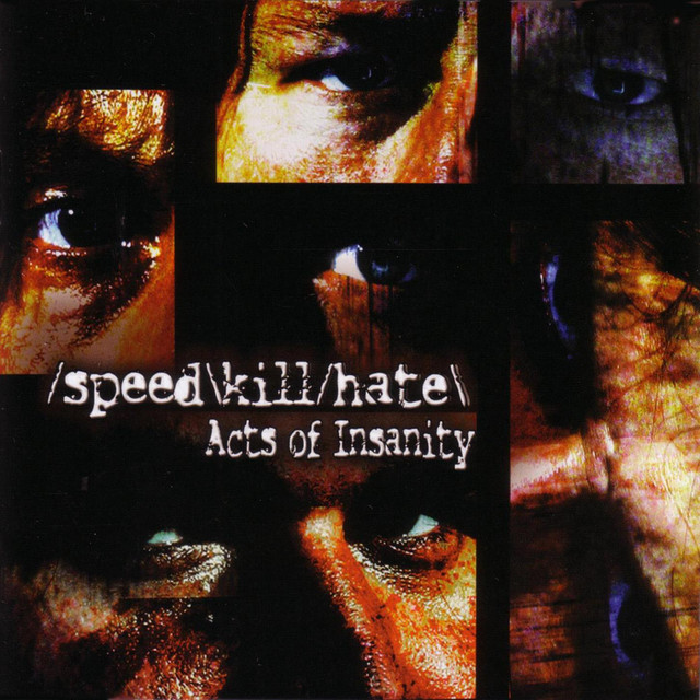 Acts of Insanity cover art