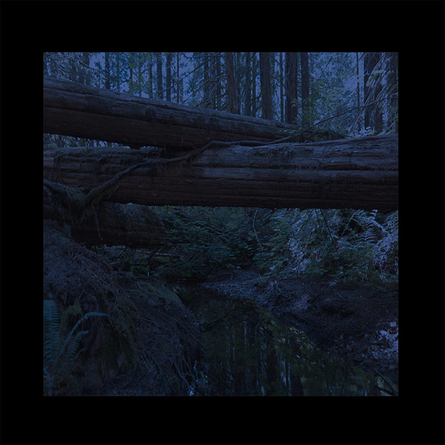 Lucid Love cover