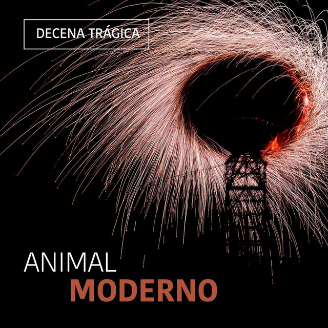 Animal Moderno cover
