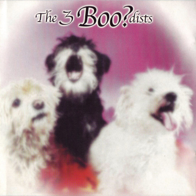 The 3boo?Dists cover art