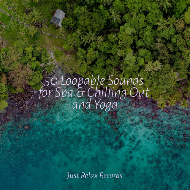 50 Loopable Sounds for Spa & Chilling Out and Yoga - Album by Musica de ...