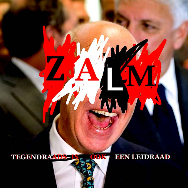 Tegendraads is Ook Een Leidraad cover art