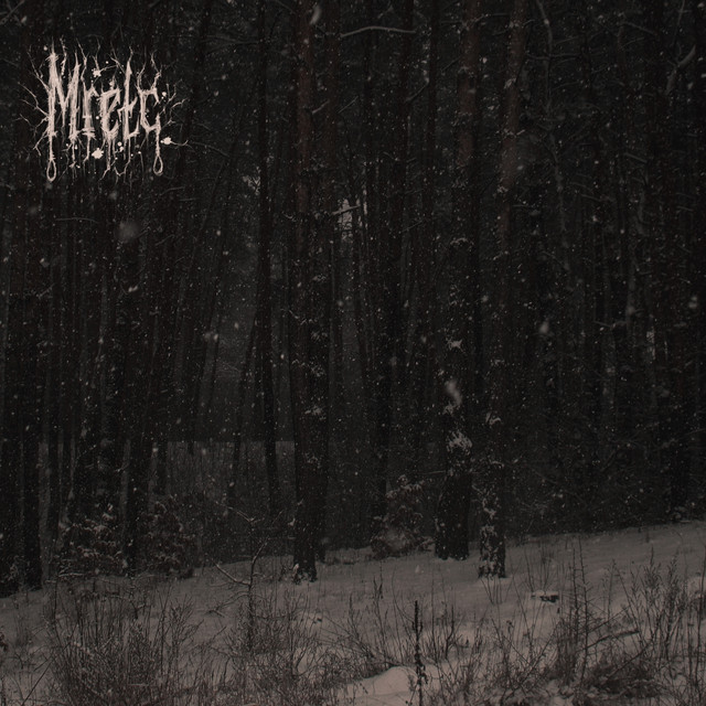 Cover art for Mretc — Хибне сприйняття дійсності