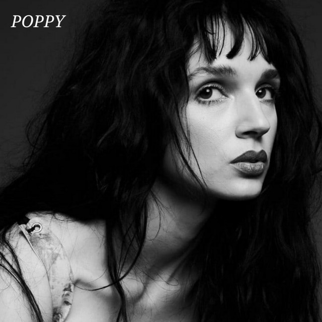 Poppy cover art