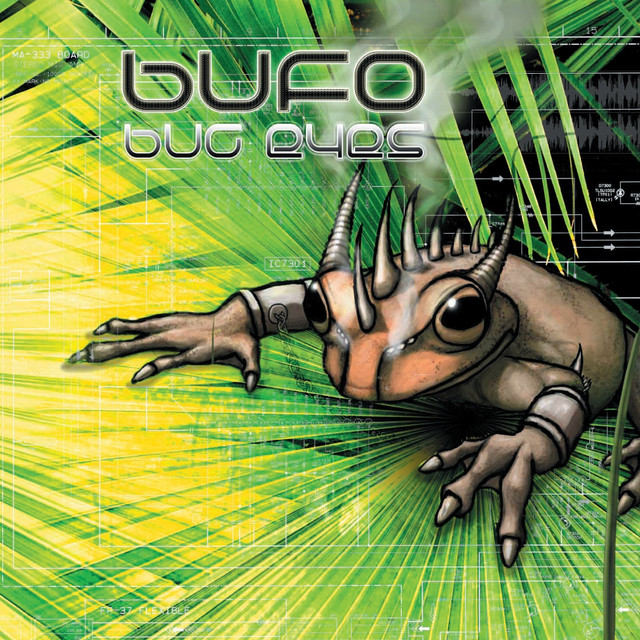 Bug Eyes cover art