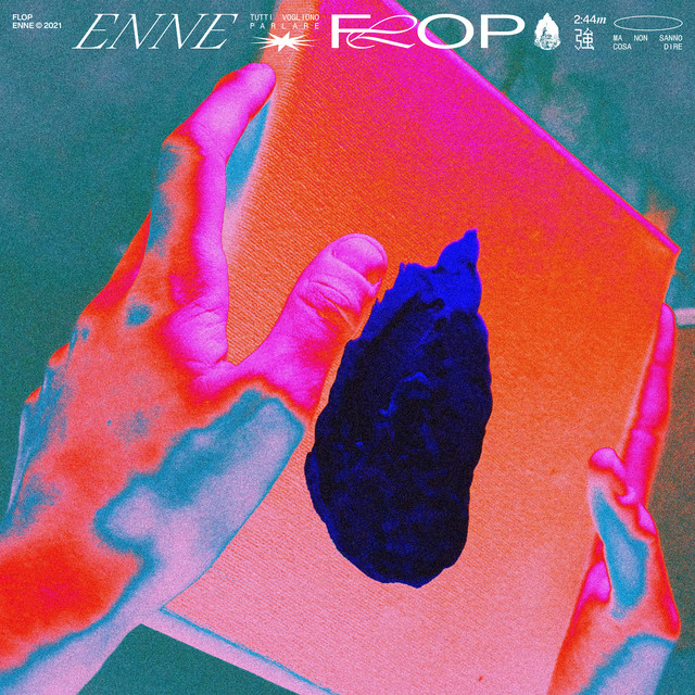 FLOP cover