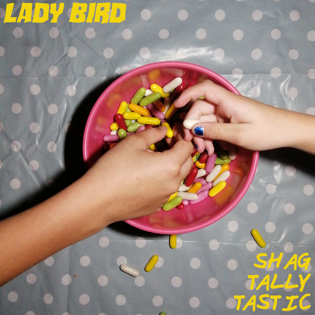 Shag Tally Tastic cover