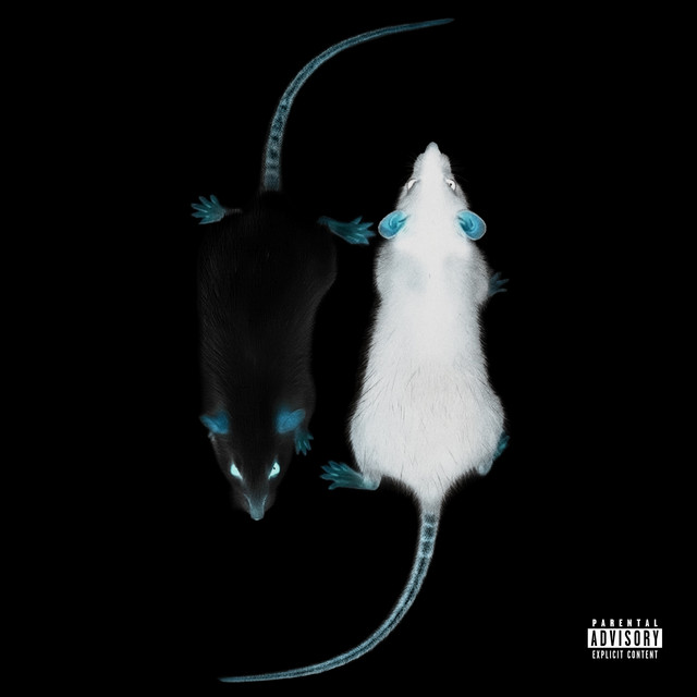 STRAAT RATJE (REMIX)