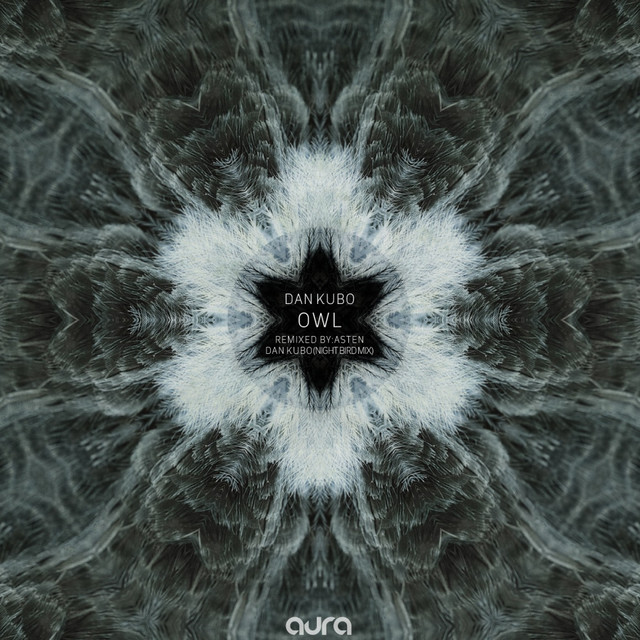 Owl - Asten Remix cover art