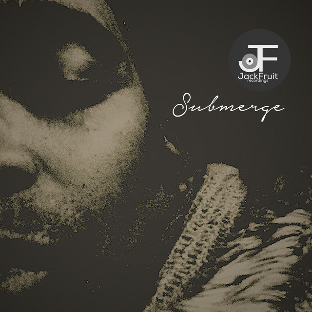 Submerge cover