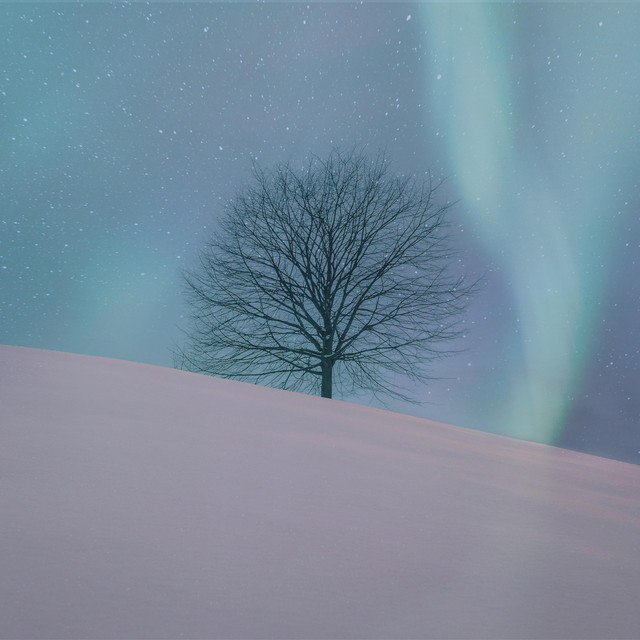 Stillness (Introspect Remix) (single)