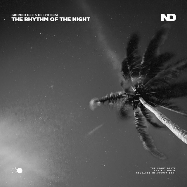 The Rhythm Of The Night
