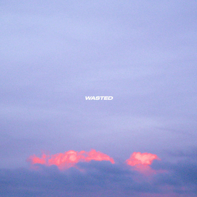 WASTED cover art