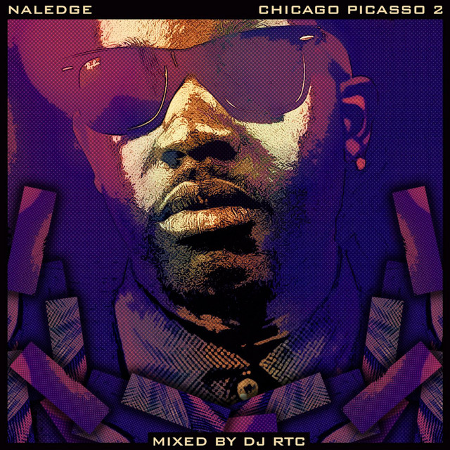 Chicago Picasso 2 cover art