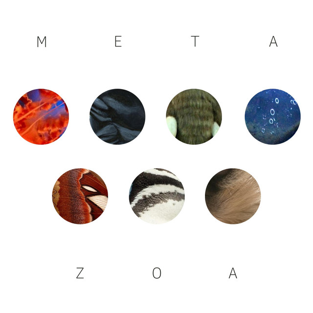 Metazoa - Album by Map 256 | Spotify