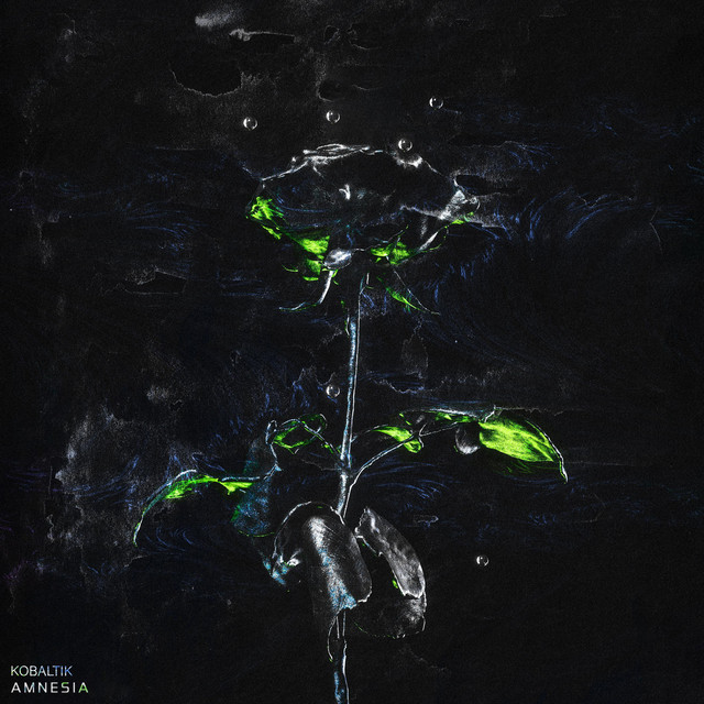 Amnesia cover