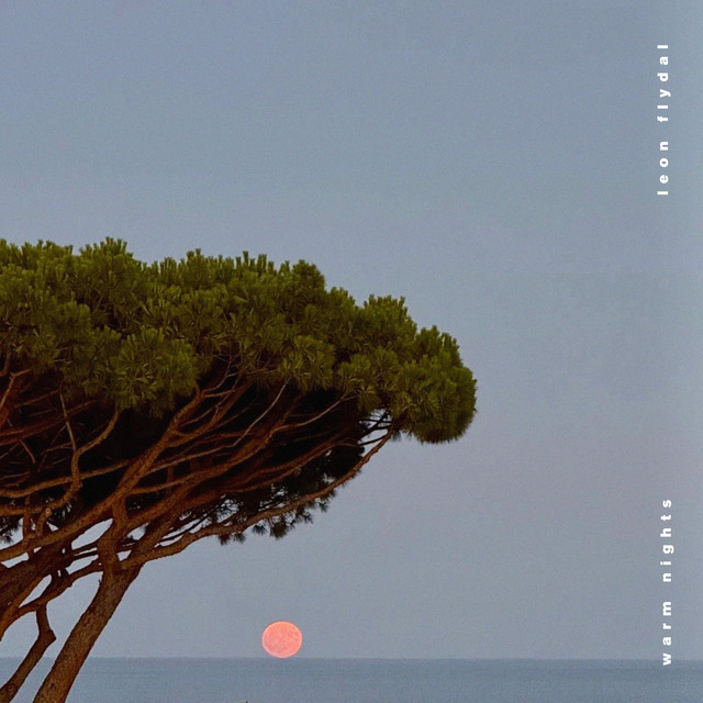 warm nights cover art