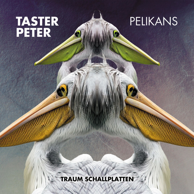 Pelikans - We Need Cracks Remix cover art