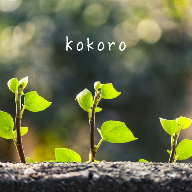 Kokoro cover art