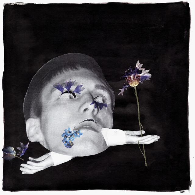 Toucher cover art