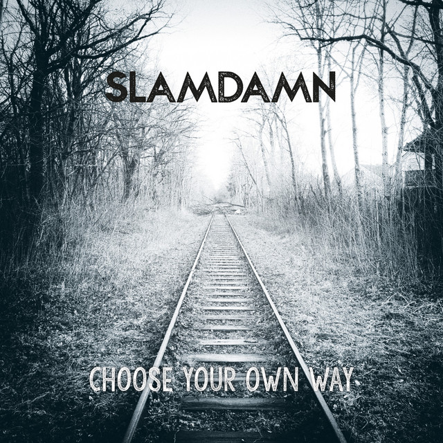 Choose Your Own Way cover