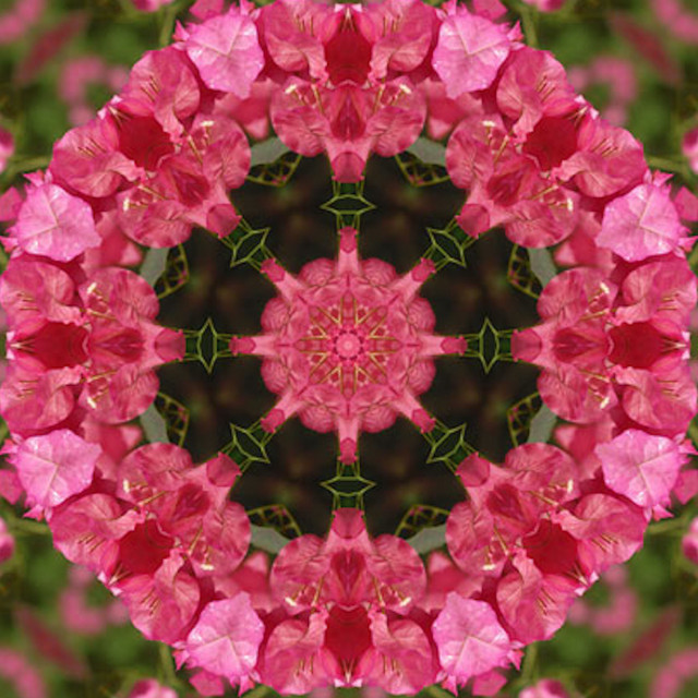 Crown Chakra