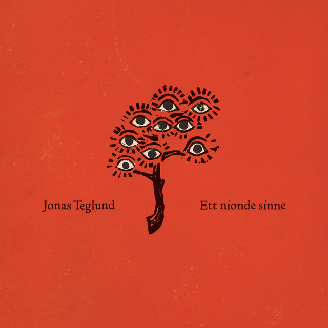 Omslag för Ett Nionde Sinne av Jonas Teglund