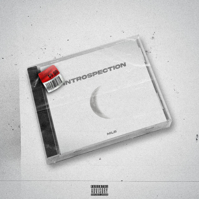 Introspection cover art
