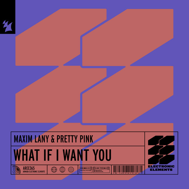 What If I Want You - Extended Mix album art